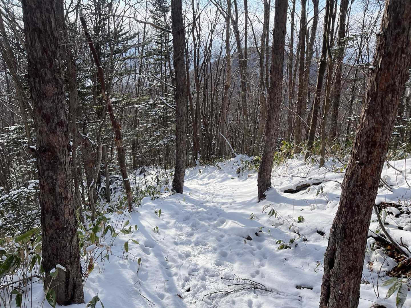 青山へ！
雪ふかふか❄️