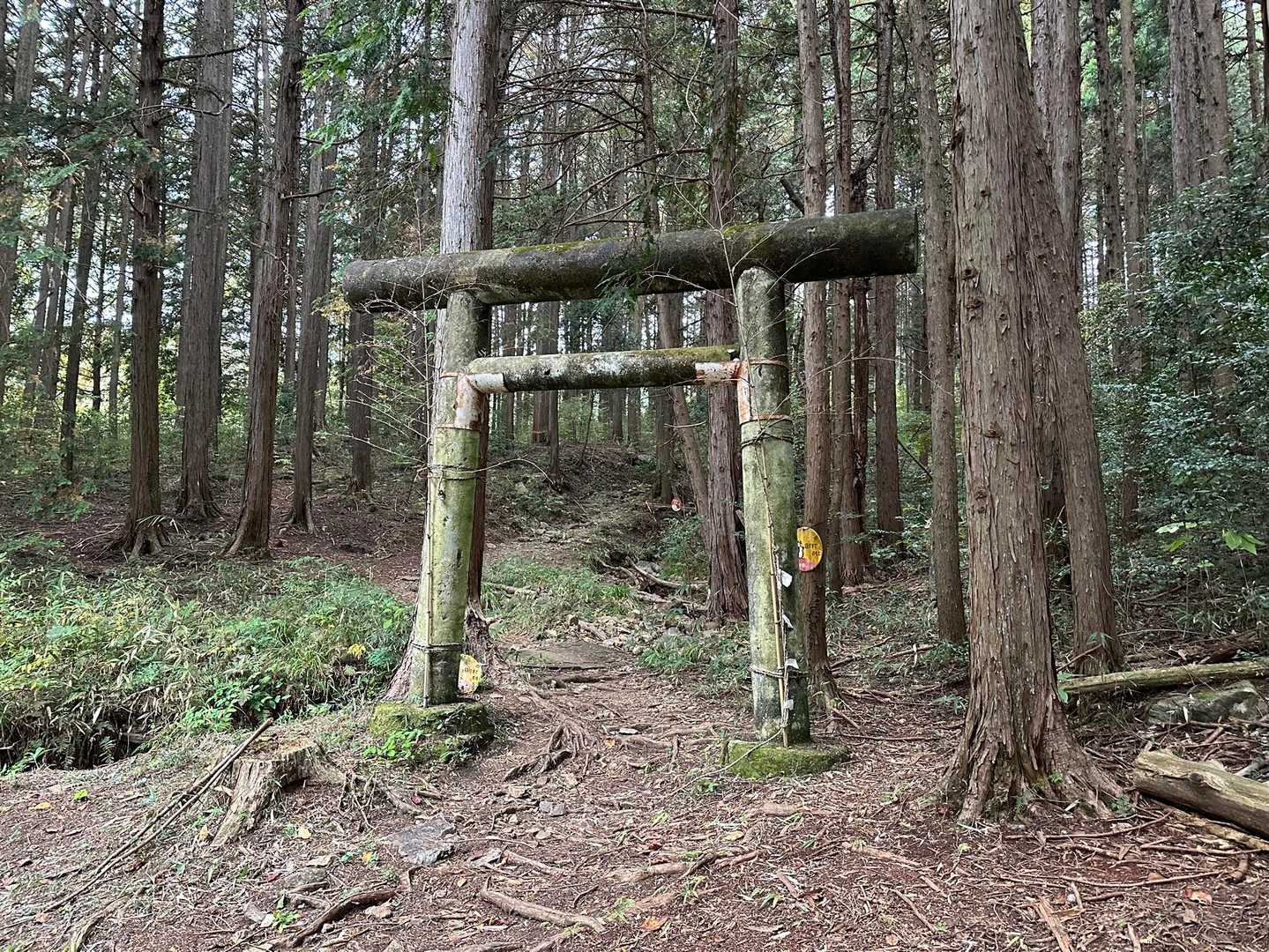 ここから🥾、これは実はニノ鳥居⛩️