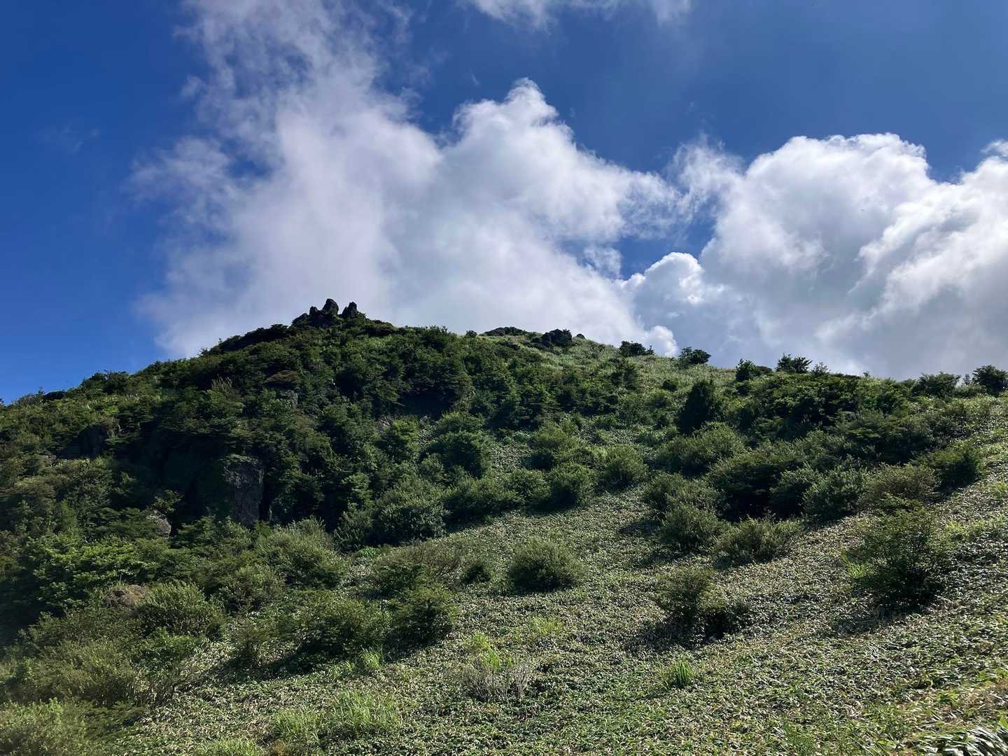 上野登山口-福智山-上野越・福智山分岐 周回コースの写真