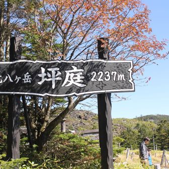 標高2237mの天空の庭園🥹