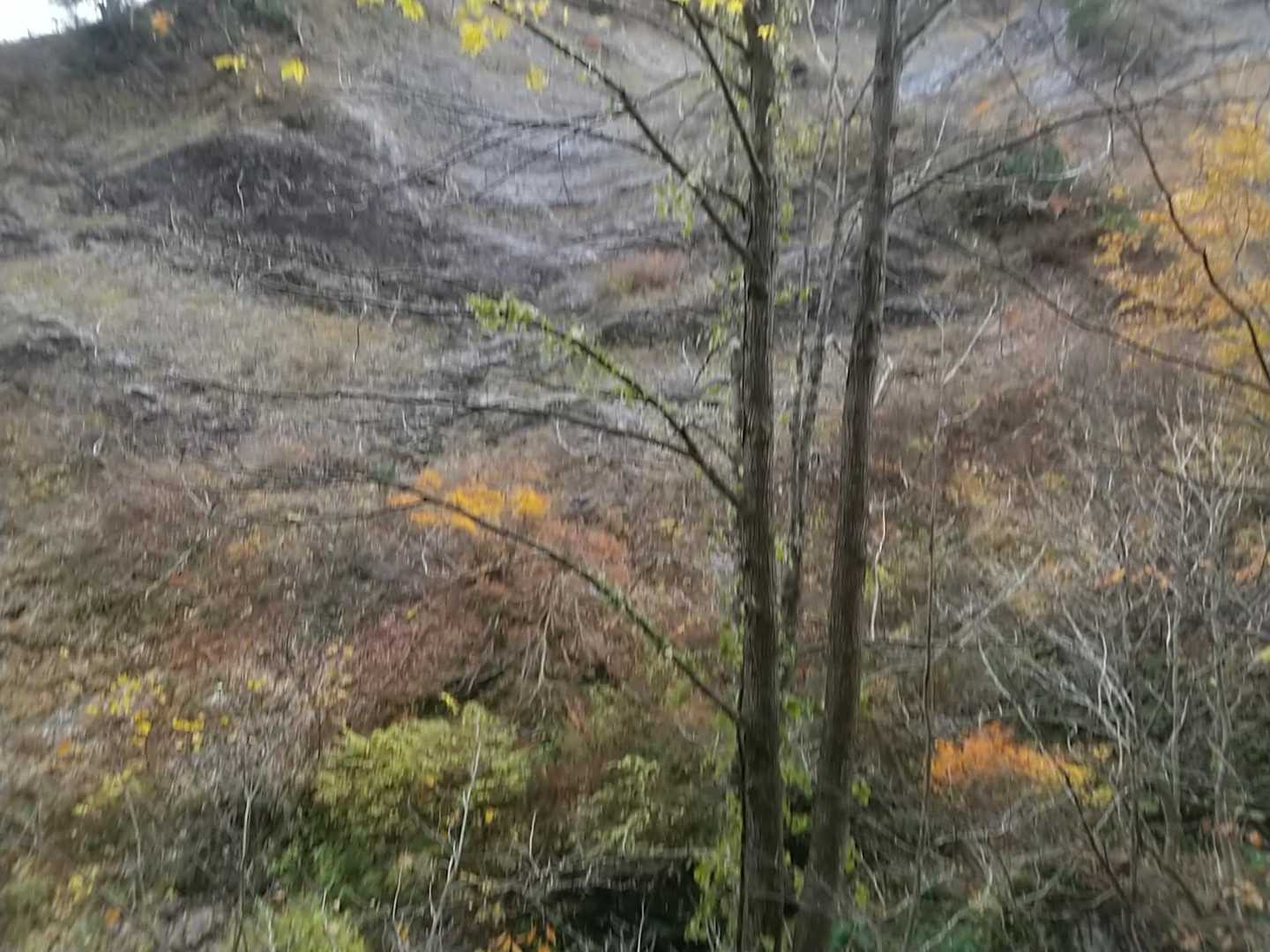 千畳岩。
登山口付近の渡渉点では、
先行していた団体の方と再会。
人と会えたことでホッとしました。