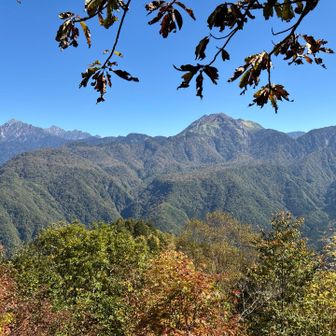 焼岳、穂高連峰がよく見えてきました