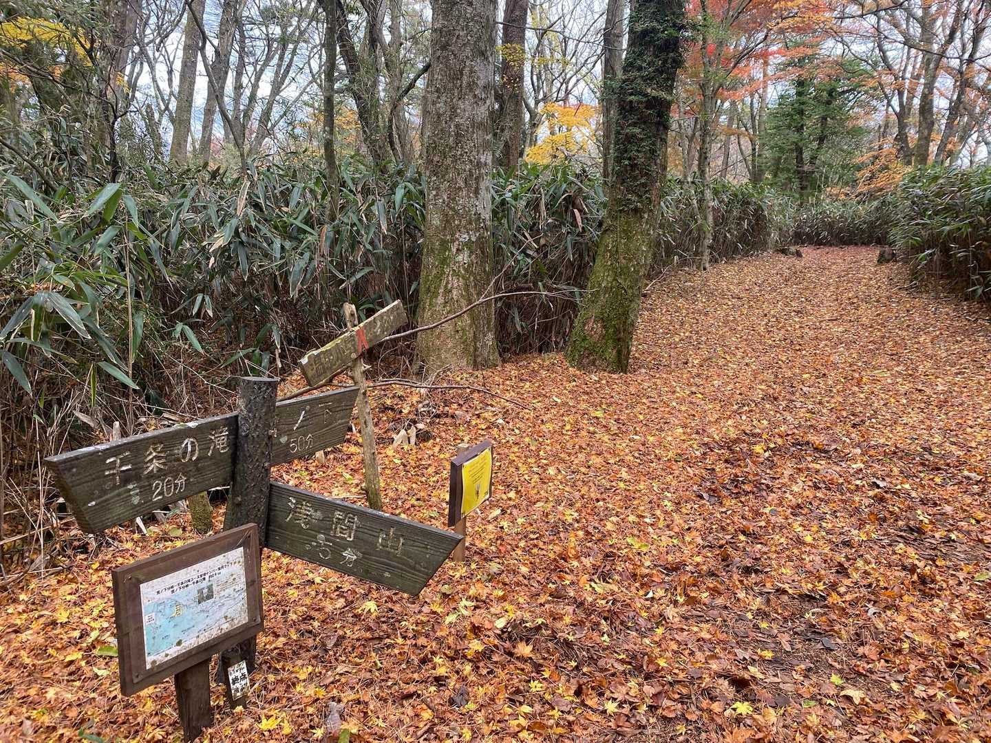 この分岐まで来たら浅間山はもうすぐです