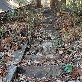 「ゲッー！」の石段