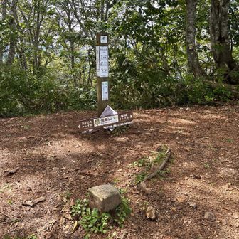 大明神岳から10分くらいで斑尾山到着。1等三角点です。眺望はありません。下山します。