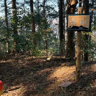 岳山山頂⛰️に到着。

冬の時期、昼なのに夕方のような斜光の場所。
綺麗な休憩場所もあり、ここでまったりするのも
オススメです😆

来た道を戻り、「松原の滝」方面へ。
今回の工程は、粟ヶ岳山頂がとっても遠く感じます😁