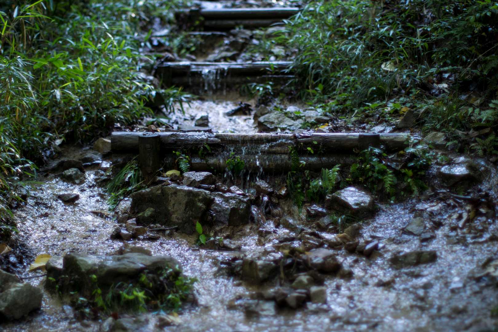登るにつれて登山道の水量も増えて来ます
