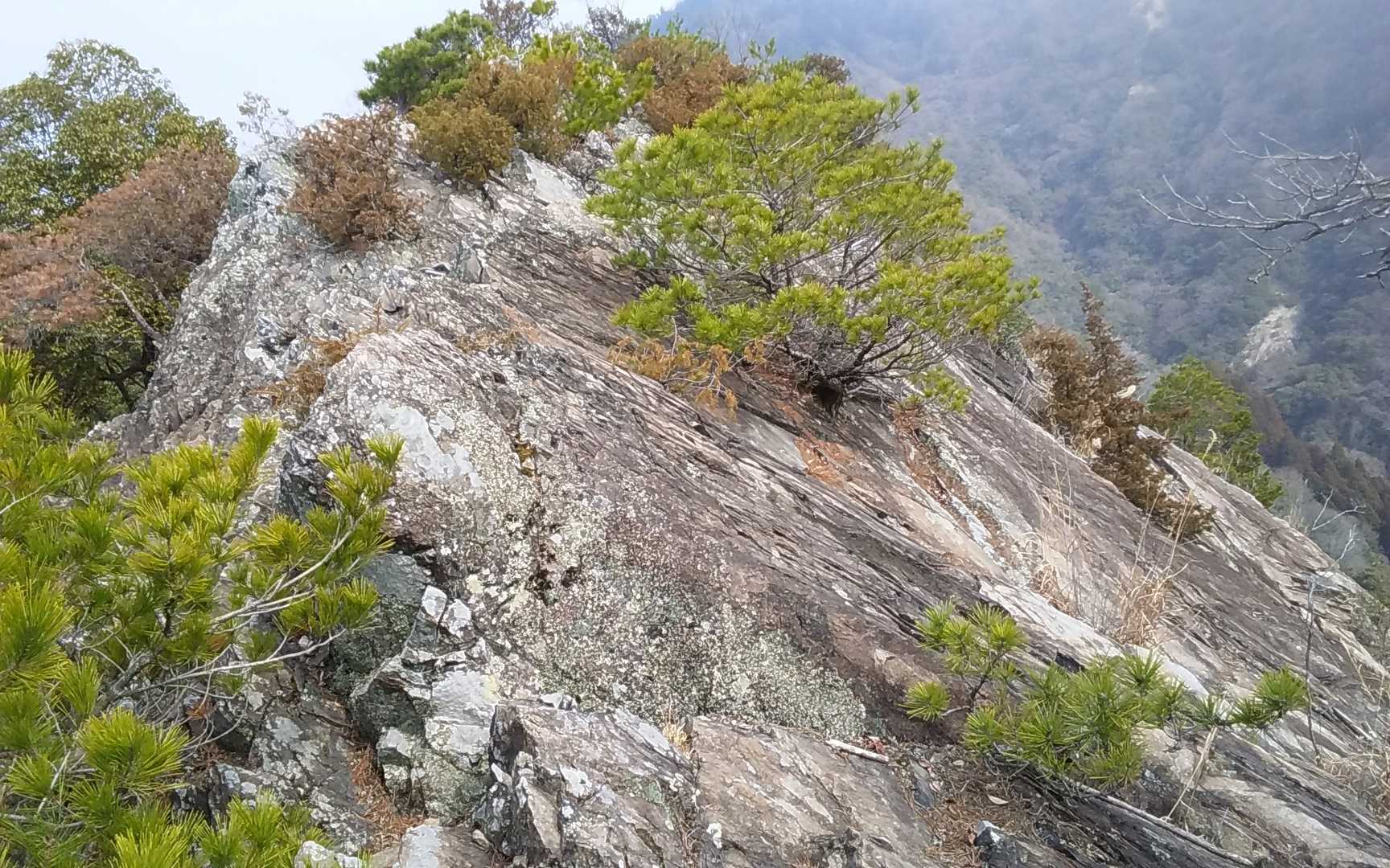 右側が切りたっており、
左側を通っていきます😱