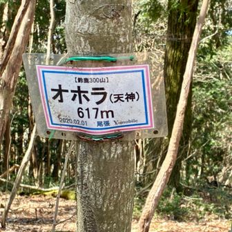 標高数が違っているようですね。

オホラ山頂は、480m