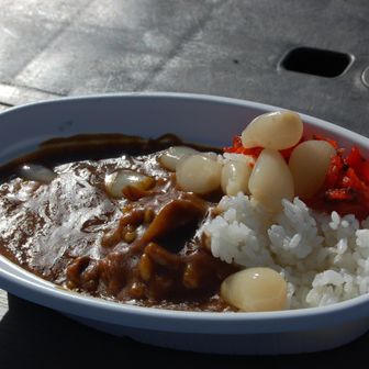 名物のヒルカレー
小中学生時代に給食室の前を通ると…漂うカレーの匂いに心踊らせた…あの感覚が甦る。
陽だまりの庭にあるパレットをテーブル代わりに、ほおばるヒルカレー。
美味しすぎて完食したら、、
小屋番のお姉さんが『こんなにキレイに食べてくれてありがとう！』と瞳を輝かせてくれました。心の琴線に触れるような想い出がまたできた。