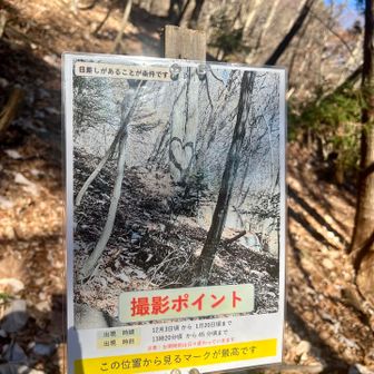 12月と1月の13:20から13:45の25分間だけハートが出現するようです