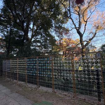 風車がいっぱい
風が吹いたところを見てみたい