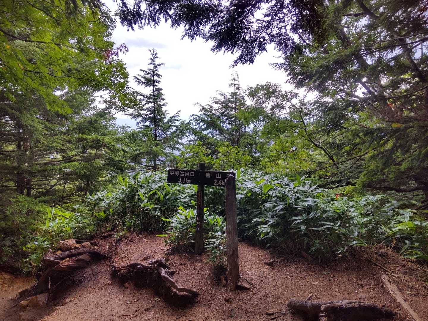 延々と続く下り道。それでもついに、ついに、登山口に到着。安堵。
私にとってはなかなか手ごわい北アルプスでした(笑)
the END