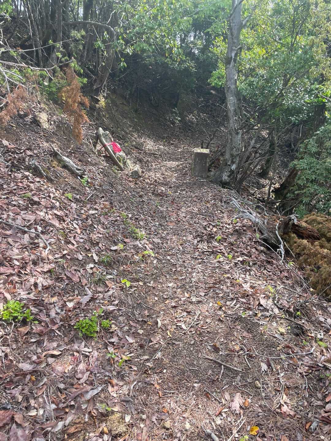 登山道にはお地蔵さまが鎮座されてます