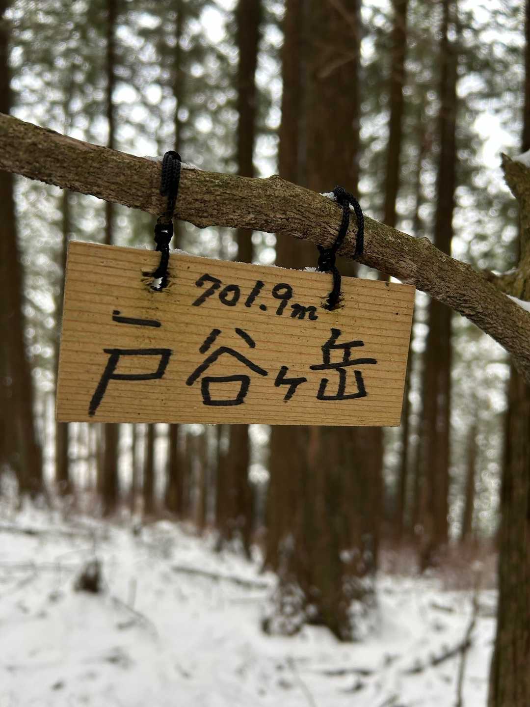 長葉山-戸谷ヶ岳-戸谷ヶ岳 周回コースの写真