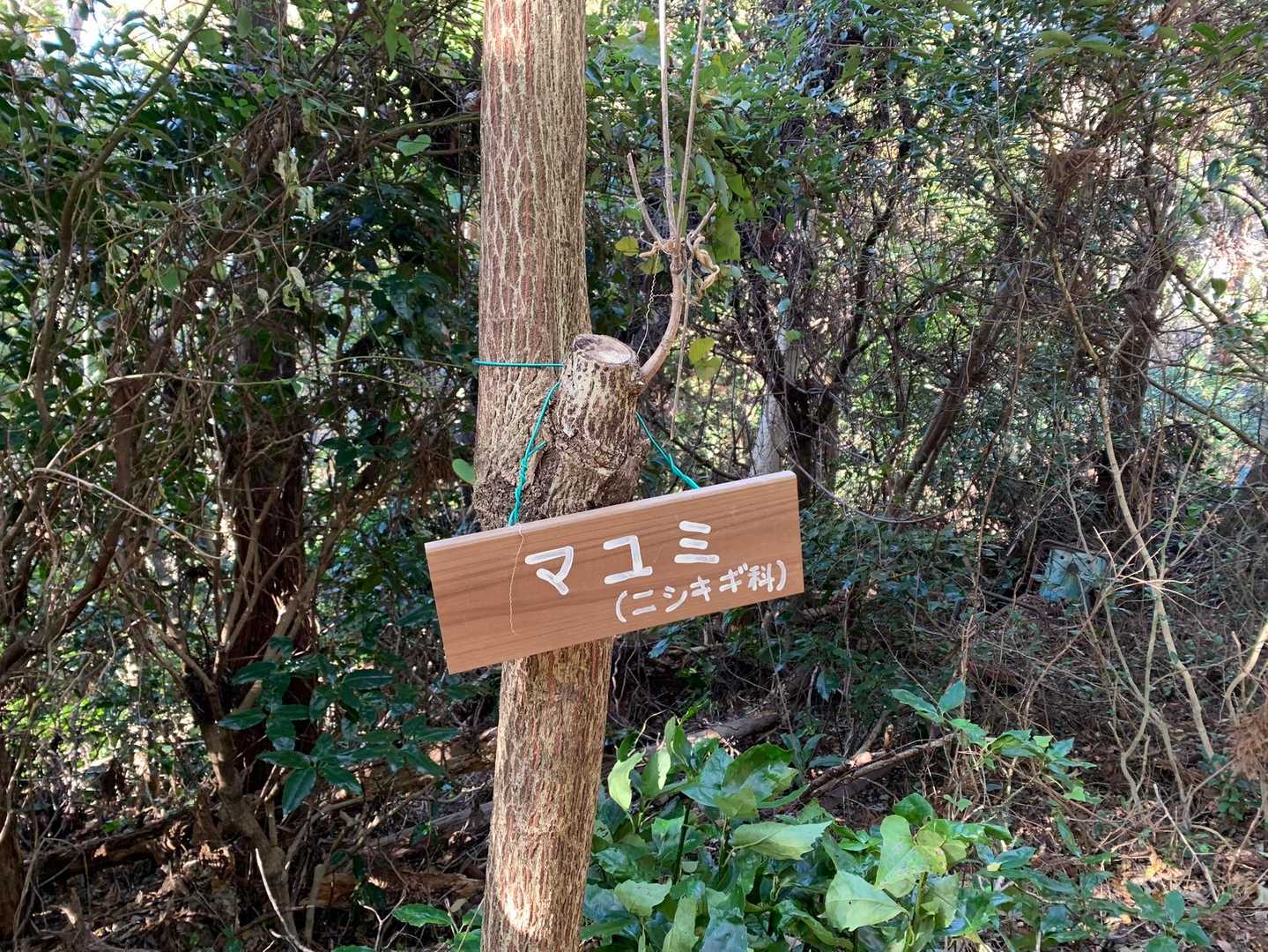 真由美、明けましておめでとう。母さん、お前の好きな伊達巻きたくさん作って待ってるぞ
※前回（8月）までのあらすじ
行方不明だった妹真由美を満観峰で無事に見つけたりょうちんだったが、真由美は自ら姿を消した罪悪感から実家に帰れずにいたのであった