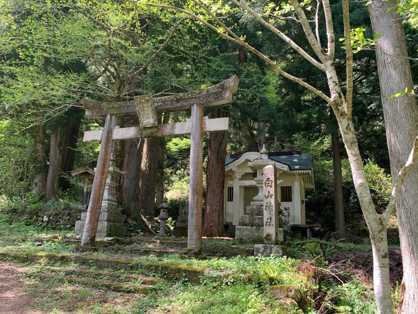まずは安全祈願のお参りをします。