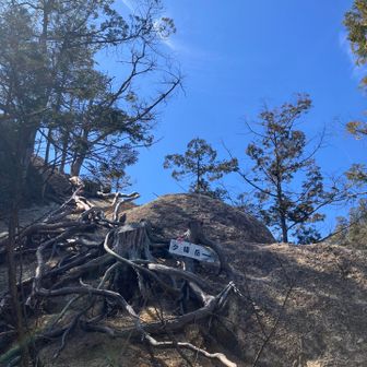 中岳はこの上
木の根っこがいい仕事してくれてます。