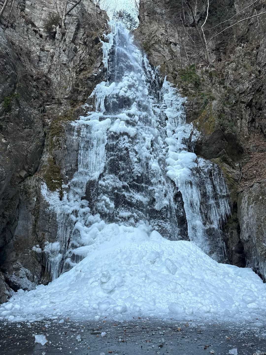 川乗橋バス停-川苔山-真名井沢ノ峰-赤久奈山-古里駅 縦走コースの写真