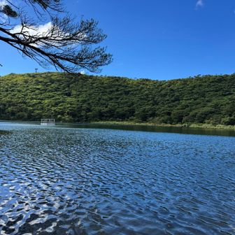 白鳥山を見上げる