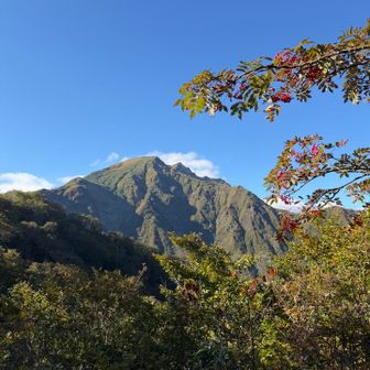 若者と健脚シニアにどんどん抜かされながら降りて来ました