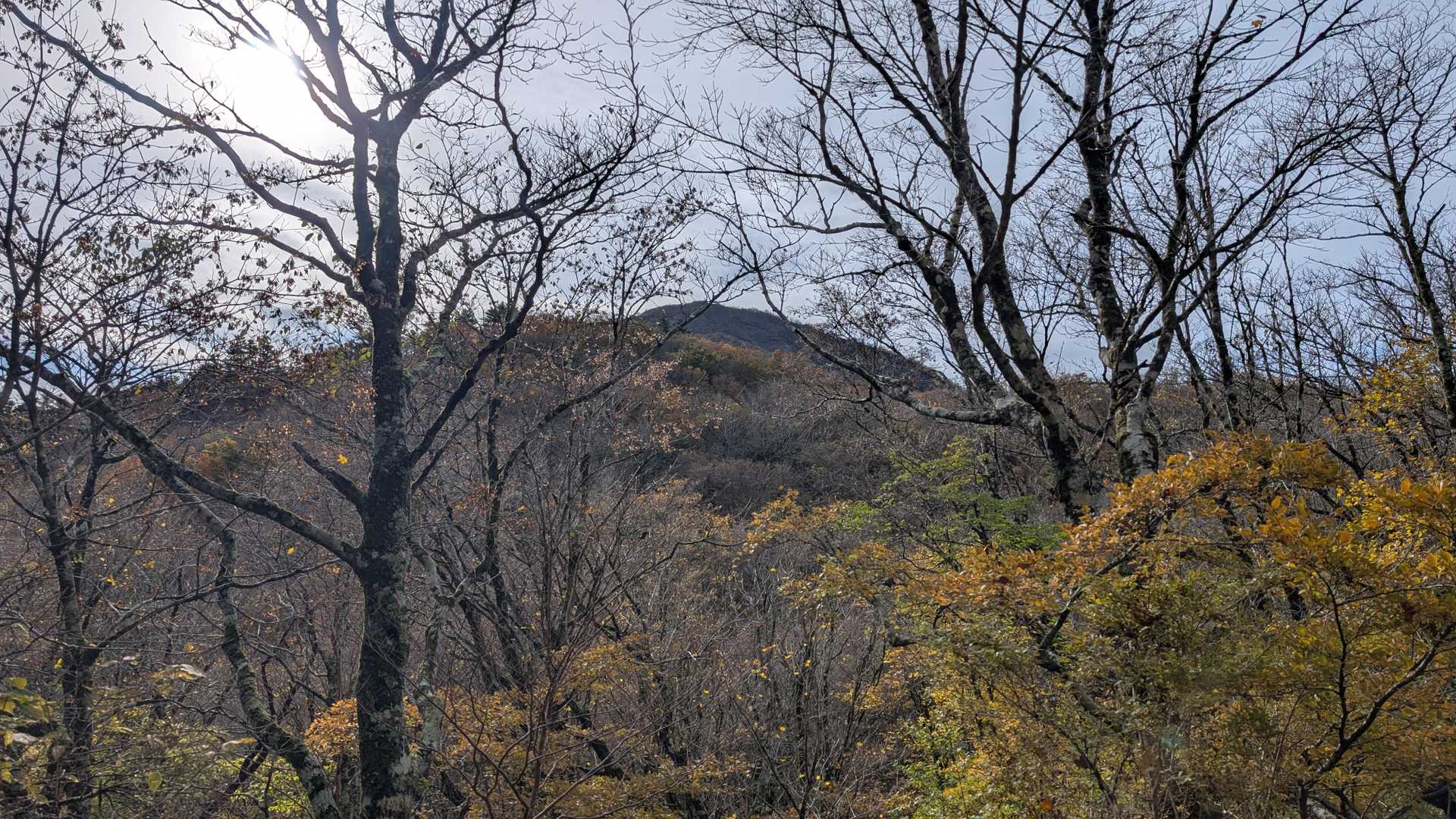 見えてきた👀
ゴールの蛭ヶ岳⛰️