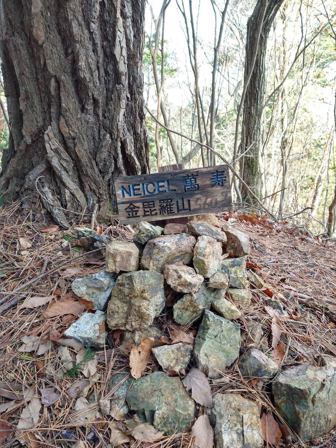 岩の上に乗る山頂板
ありがとうございます。