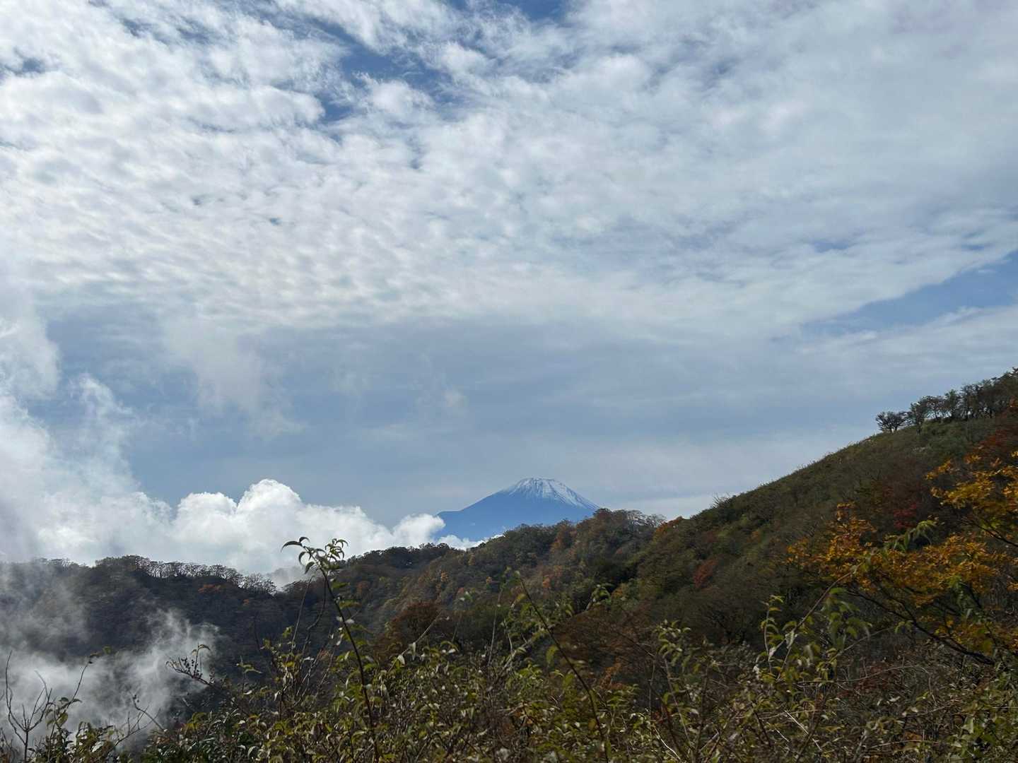 ヤビツ峠-表尾根-塔ノ岳-大倉尾根 縦走コースの写真