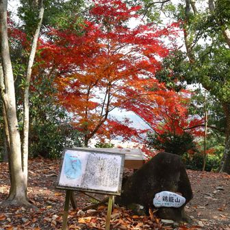 鶏籠山。十日ほど前より紅葉が進んでいるがもうすぐ終わりのようだ。