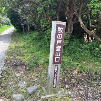 1時間くらいの散策でした^_^