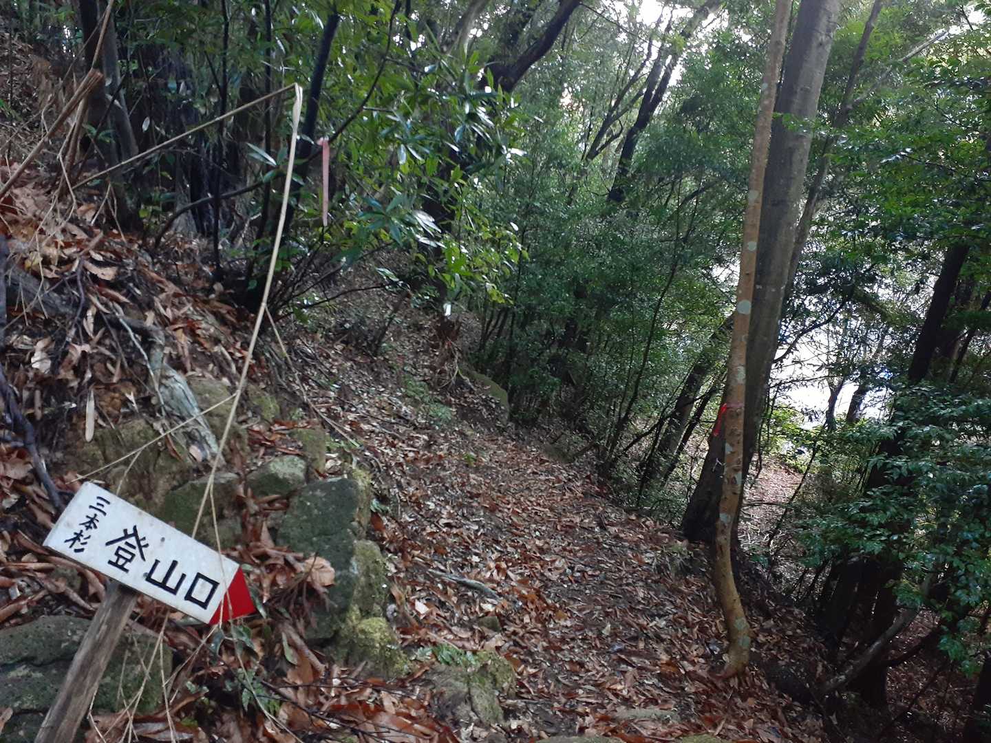 ここを下れば
三本杉登山口へ下山です😄
