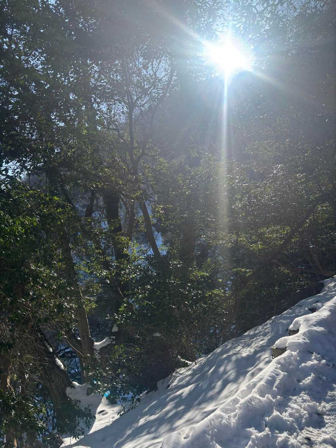 三方山 周回コースの写真