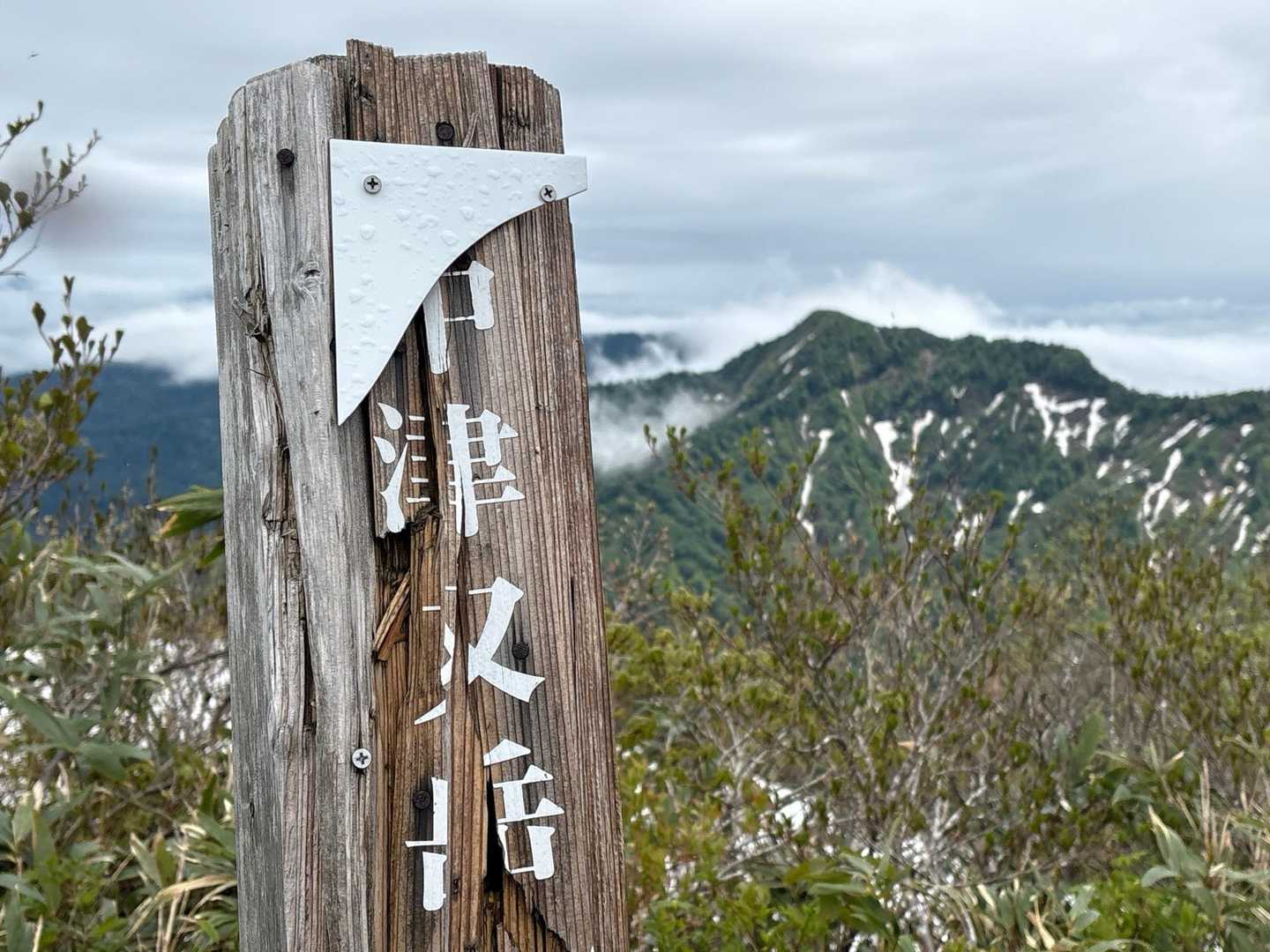 何か詰まっただけからの〜、烏帽子✨