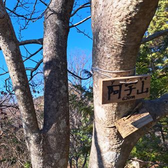 まずは阿字山の大日如来石仏に参拝。