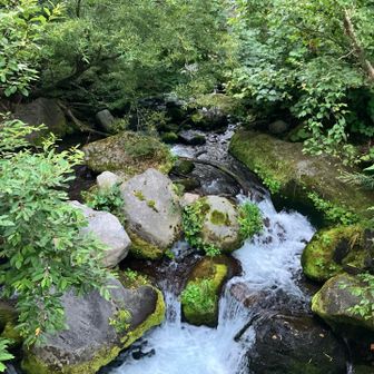 川の水が美しい😍
ヤマメちゃんやイワナくんが泳いでいそうだ✨