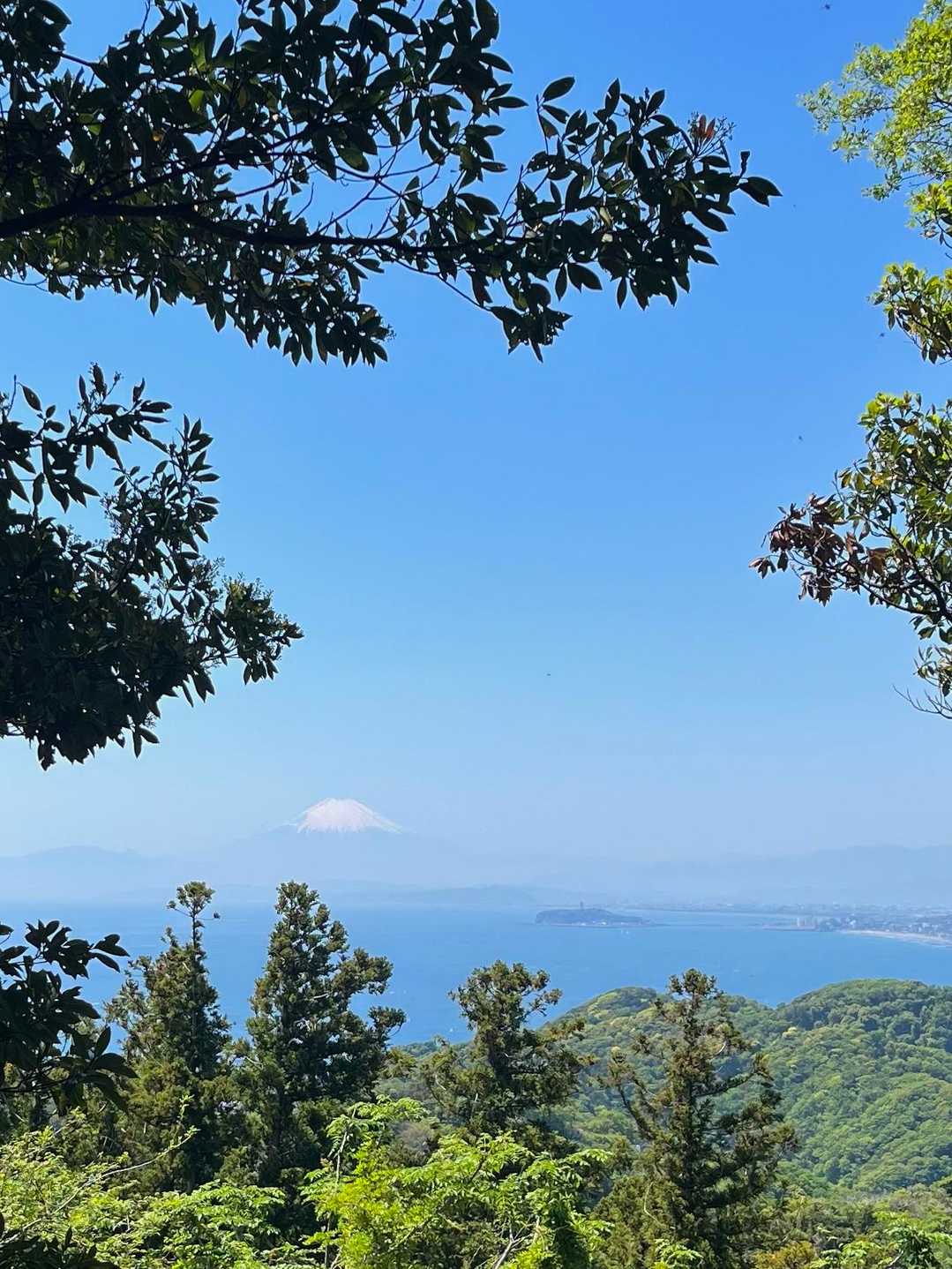 ソッカから富士山🗻と江の島がきれいに見えました🤗