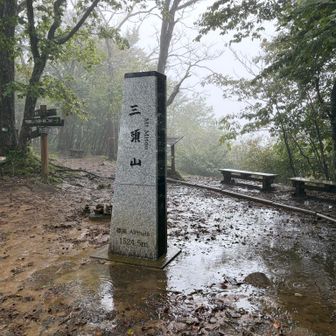 西峰の標識の周りは池になっていました