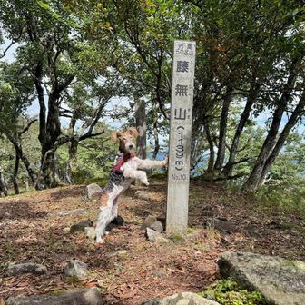 戻ったどうー　カバー写真候補