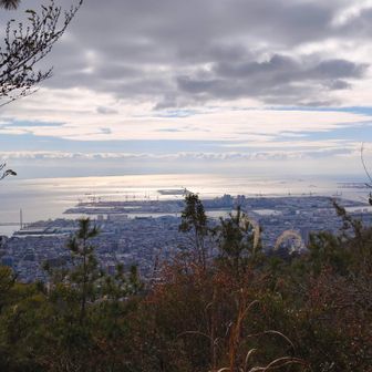 テラス席から見える景色😊