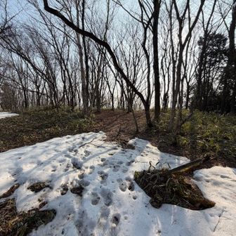 残雪はもう僅か
