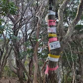 南コブ登頂

付いてくの必死で、途中写真撮る余裕なし🤣