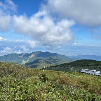 ゴンドラ🚡動いてる