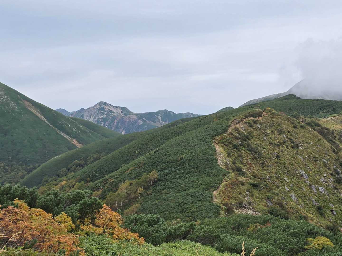 奥に鷲羽岳