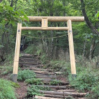 突然の鳥居⛩️