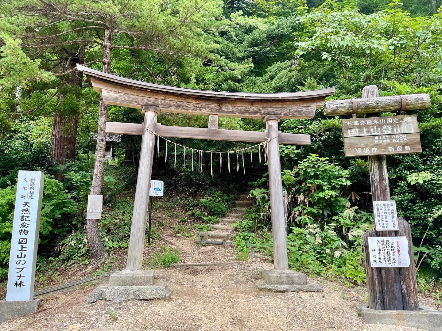 参ろうぞ❣️