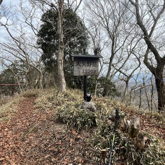 くまモンも大喜び。でも展望なし