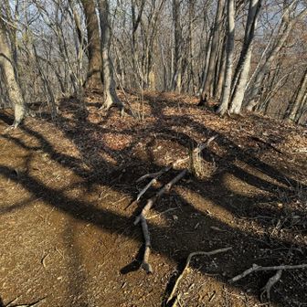 ここは右です。