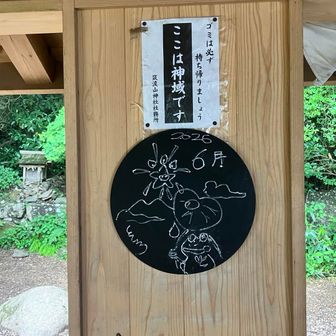 弁慶茶屋に戻ってきた