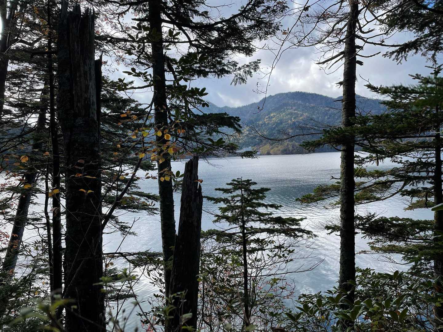 こちらは然別湖