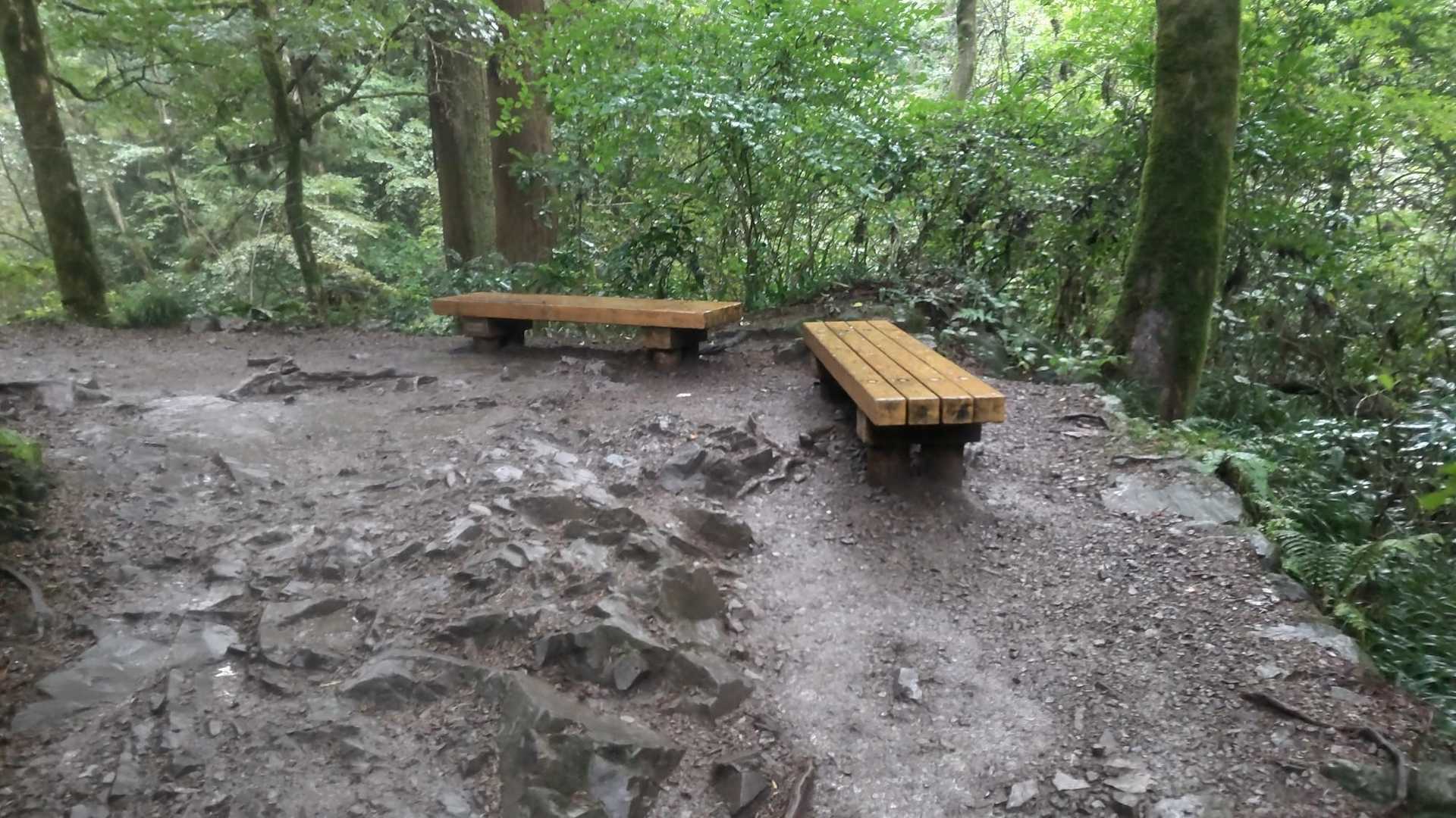 空いてるので順調にトコトコしてたら暑くなってきたよ！
半袖に変身〜(*´∀｀*)